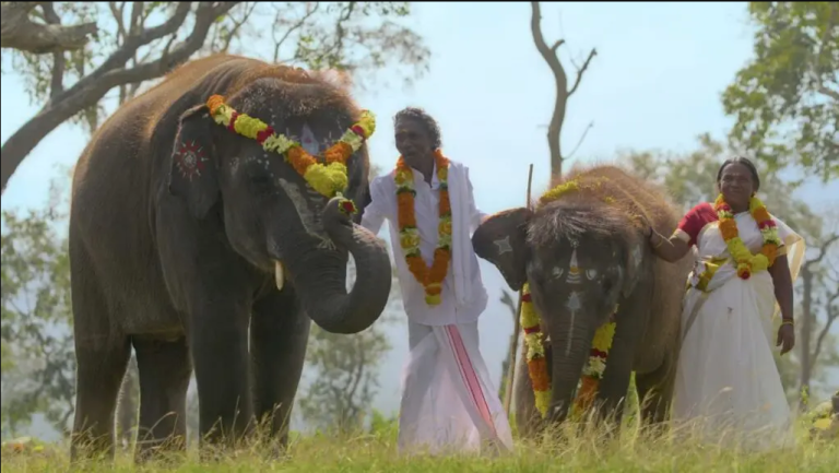 অস্কার জিতলো তামিল ছবি ‘দি এলিফ্যান্ট হুইস্পারার্স’