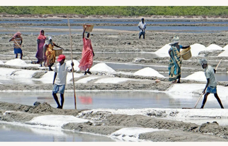 ৬২ বছরের মধ্যে দেশে রেকর্ড পরিমাণ লবণ উৎপাদন