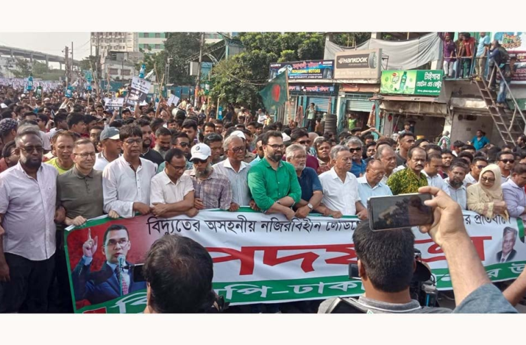 সরকারের হাতে হারিকেন ধরিয়ে দিতে হবে : আমীর খসরু