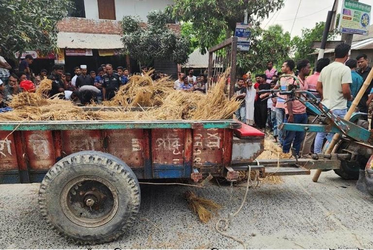 ট্রলিতে খড়ের সাথে গাঁজা পাচারকালে র‌্যাবের হাতে আটক ২