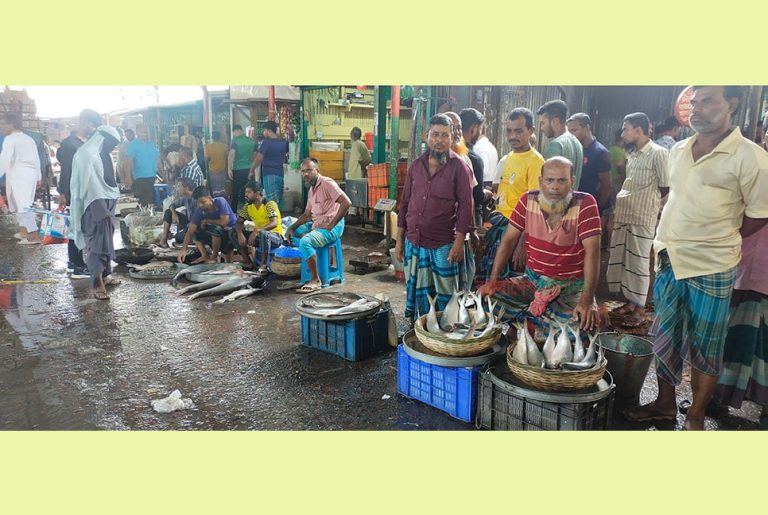 তীব্র স্রোতে নদীতে মিলছে না ইলিশ, হতাশায় সপ্তাহ পার