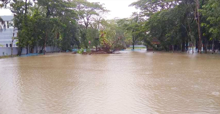 বরগুনায় ২৪ ঘণ্টায় ১৪০ মিলিমিটার বৃষ্টিপাত