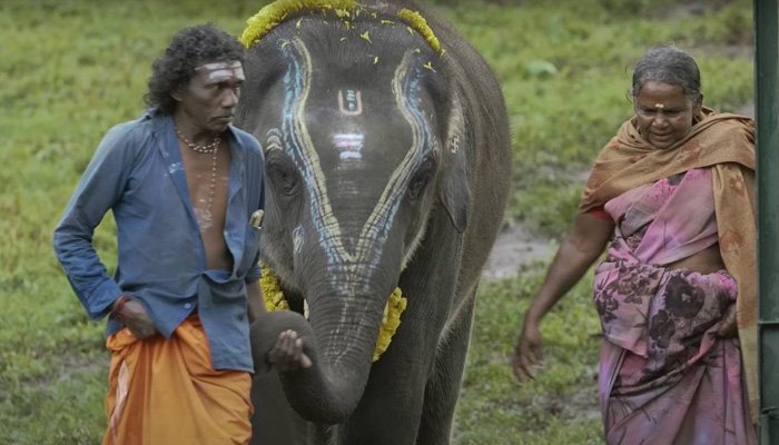 যাদের গল্প এনে দিয়েছে অস্কার, তারাই পাননি টাকা!